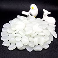 100 piedras luminosas para jardín de color blanco.